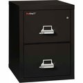 Fire King Fireking Fireproof 2 Drawer Vertical File Cabinet - Letter Size 17-11/16"W x 25"D x 28"H - Black 21825-CBL